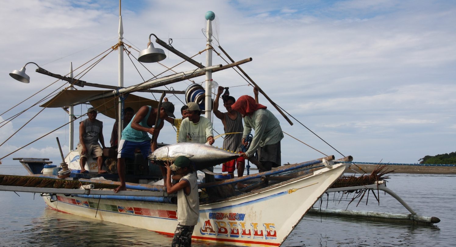 Fresh tuna prices stable again after initial chaos of Sri Lanka ban