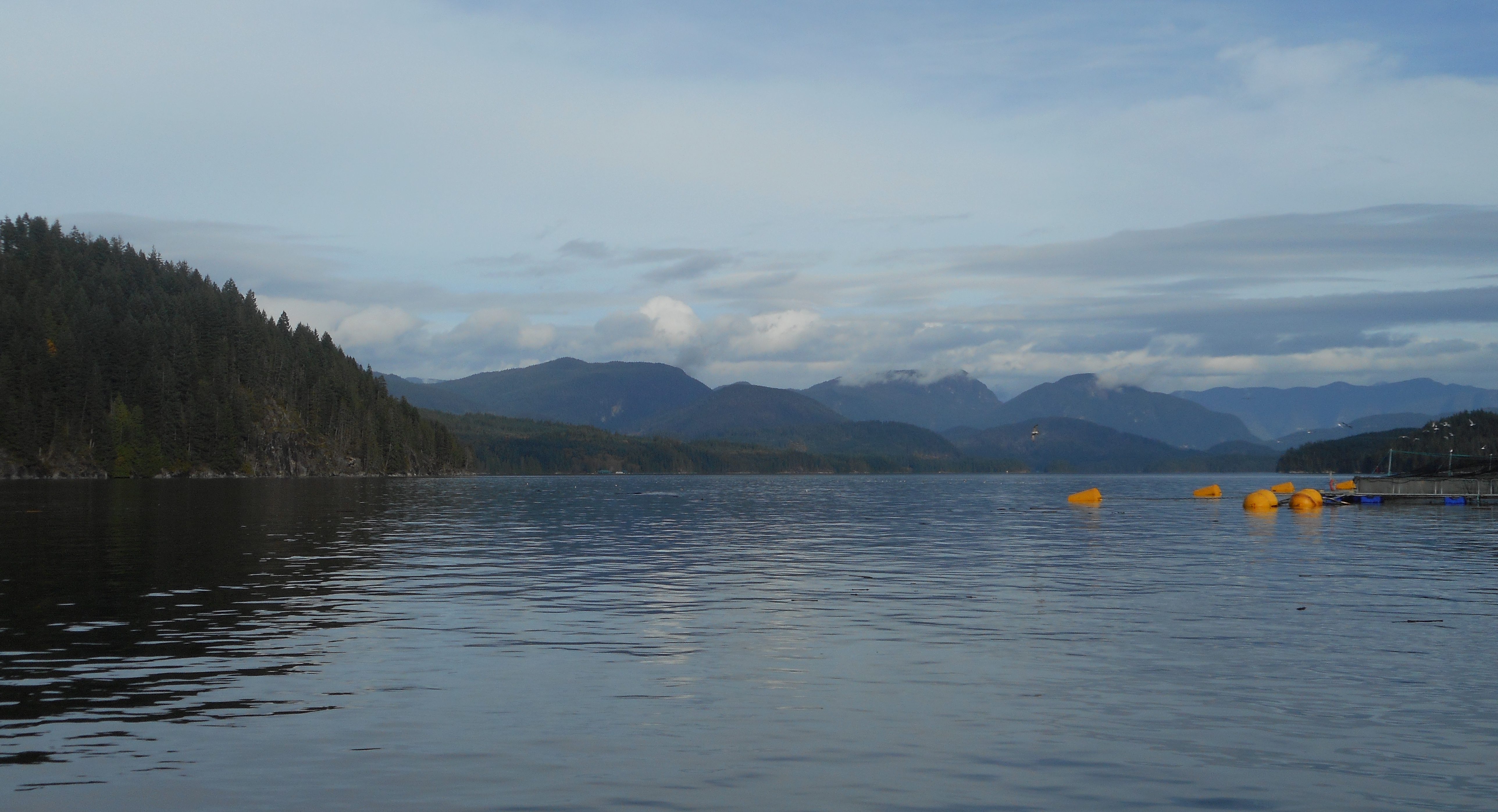 Cermaq farm, Brent Island