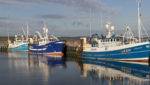 Whitefish boats moored in Lerwick Harbour