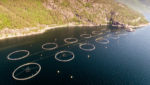 A salmon farm in Norway. Credit: UBC Stock/Shutterstock.com